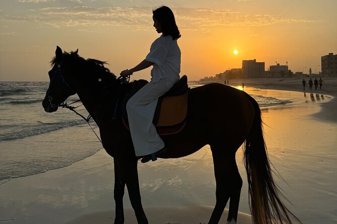 Horse riding by the beach Salalah - Key points to know before booking