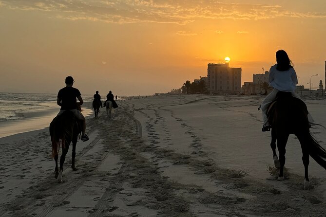 Horse riding by the beach Salalah - Why Salalah’s shoreline makes this ride special