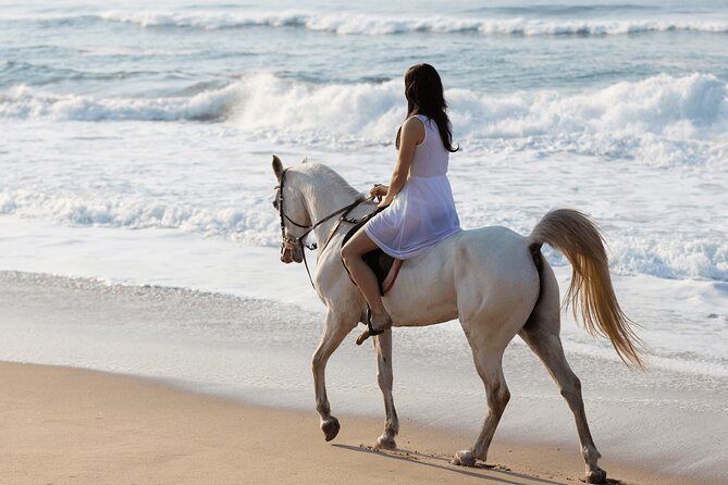 Horse riding by the beach Salalah - Getting fitted and choosing the right pace