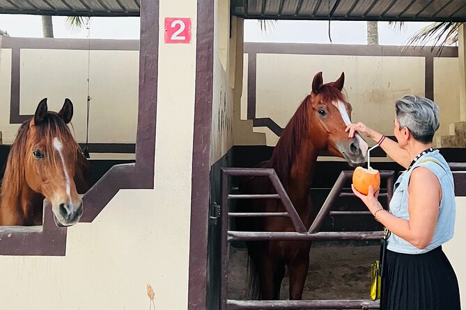 Horse riding by the beach Salalah - From pickup to the stable at 243H+R3