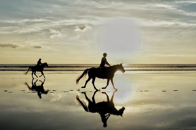 Horse Riding By The Beach With Hammam And Massage - At the ranch, meet the horses