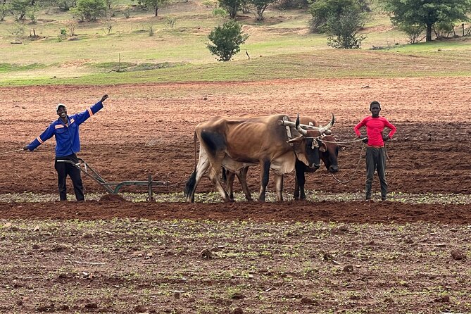 Horse Riding Community Village Tour Experience - What to bring and how to plan the morning