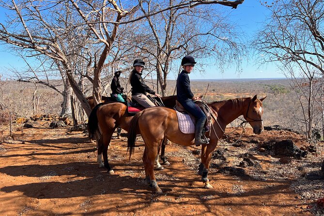 Horse Riding Community Village Tour Experience - Why the guides and horses matter
