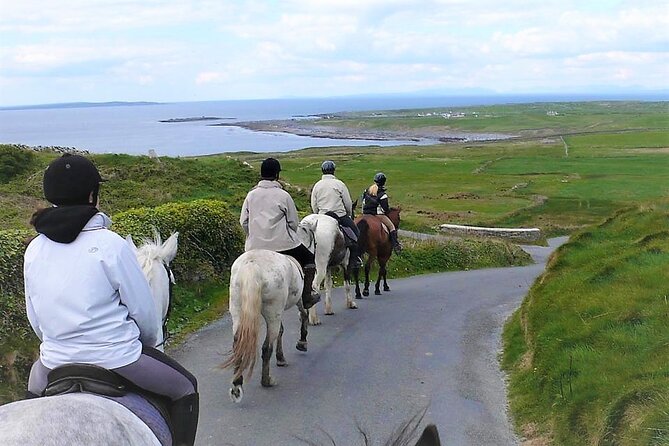 Horse riding - Dirt Trek Trail. Lisdoonvarna, Clare. Guided. 1 hour. - What the one-hour route includes