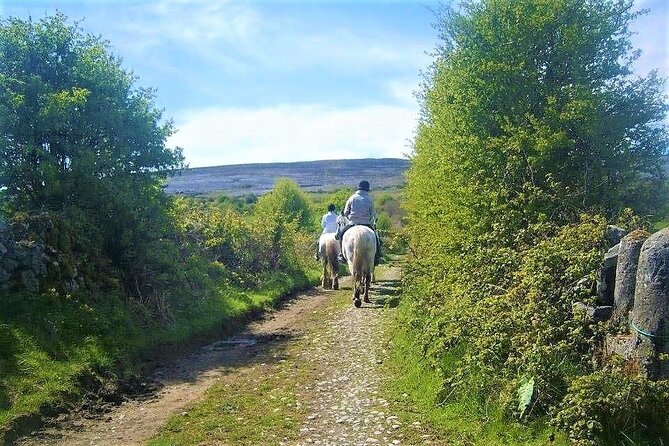 Horse riding - Dirt Trek Trail. Lisdoonvarna, Clare. Guided. 1 hour. - How much value you get for $121.62
