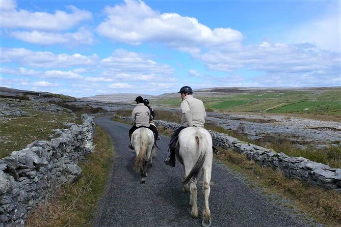 Horse riding - Dirt Trek Trail. Lisdoonvarna, Clare. Guided. 1 hour. - Who will enjoy this ride most