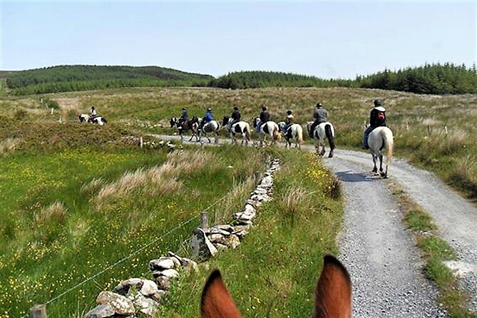 Horse riding - Dirt Trek Trail. Lisdoonvarna, Clare. Guided. 1 hour. - Practical planning for your Clare day