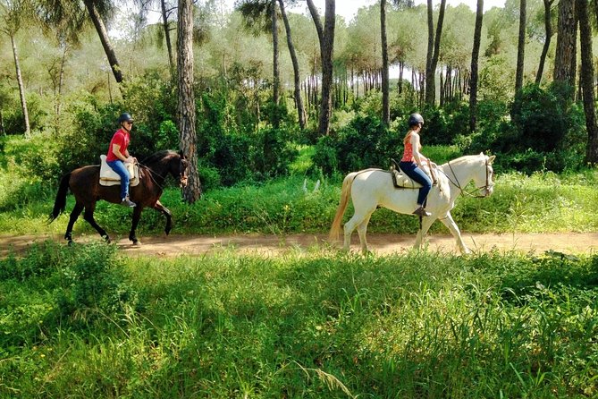 Horse Riding Excursion from Seville - Leaving Seville for the Andalusian countryside