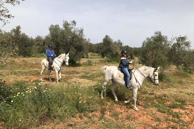 Horse Riding Excursion from Seville - Guides, language, and the level of personal attention