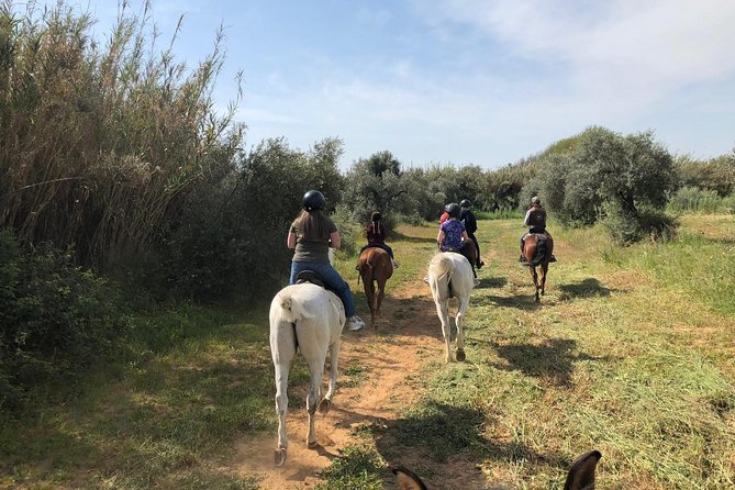 Horse Riding Excursion from Seville - Clothing, fitness, and family rules