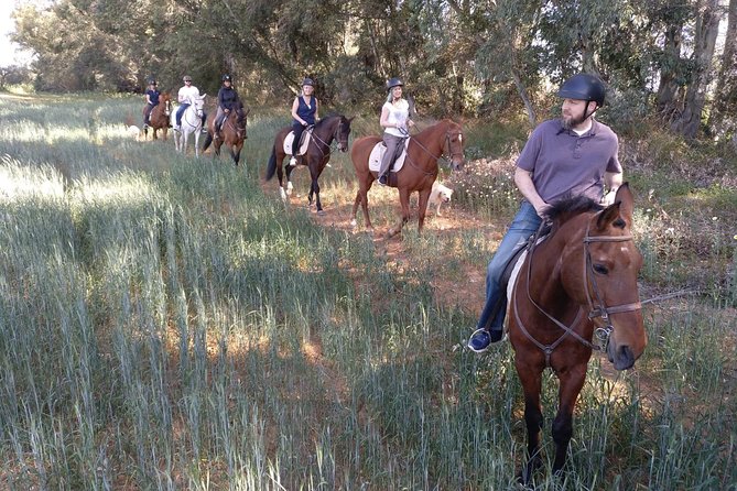 Horse Riding Excursion from Seville - The value of a two-hour ride from Seville