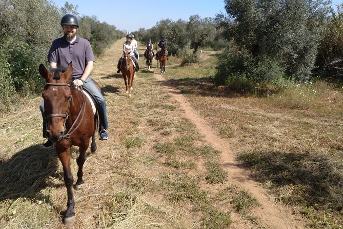 Horse Riding Excursion from Seville - When this ride fits your Seville plans