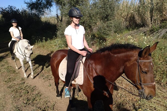 Horse Riding Excursion from Seville - Cancellation and practical booking advice