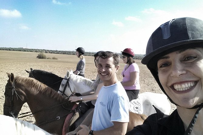 Horse Riding Excursion from Seville - What you may see among the pine trees and orchards