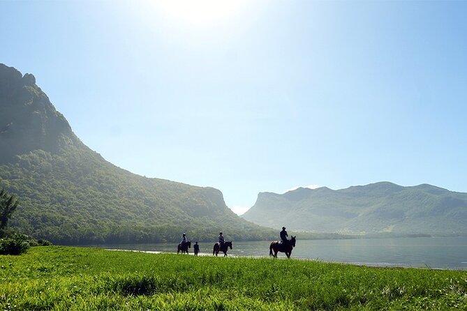 Horse Riding experience by Haras du Morne - The first thing to settle: horse ride or sightseeing tour?