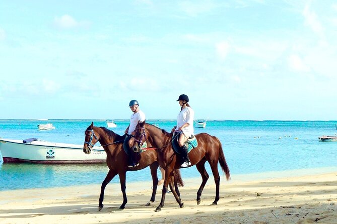 Horse Riding experience by Haras du Morne - Meeting at Haras du Morne