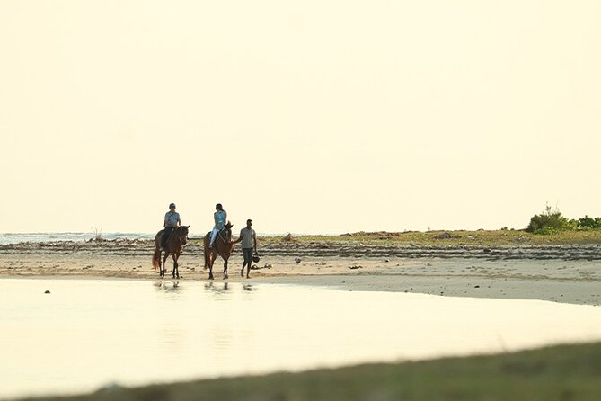 Horse Riding experience by Haras du Morne - Trou aux Cerfs and the view over Curepipe