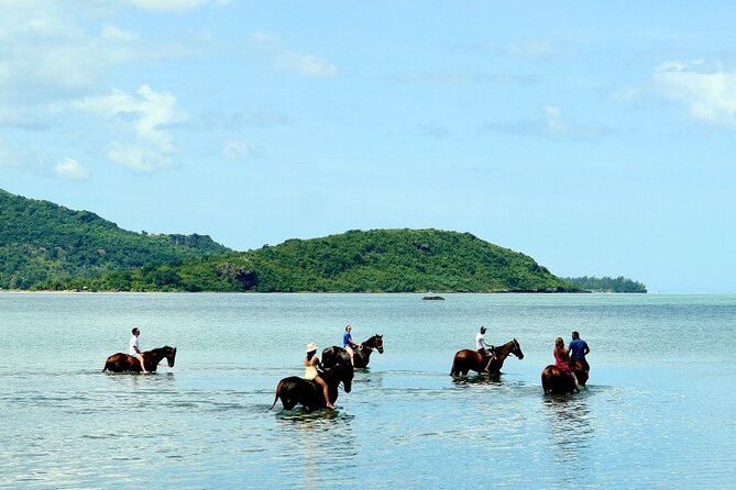 Horse Riding experience by Haras du Morne - Guide service and the value of the day