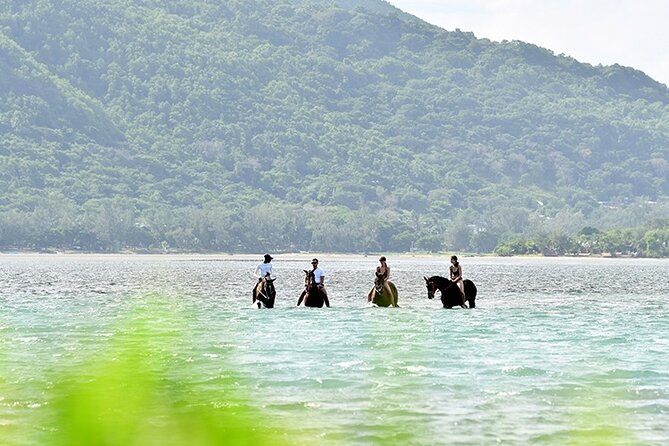 Horse Riding experience by Haras du Morne - Why Le Morne matters beyond the view