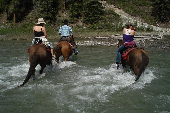 Horse Riding Experience in Marmaris with Transfer - What the one-hour ride feels like