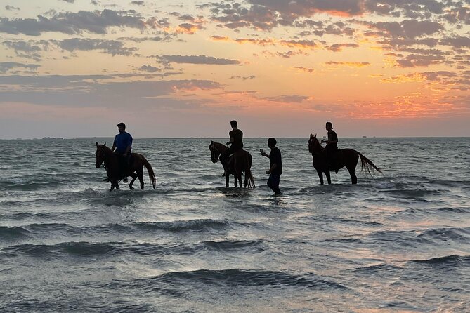 Horse Riding Experience in Riyadh | Tanomah | Jeddah | Al Ula - Choosing between desert, coast, and mountain