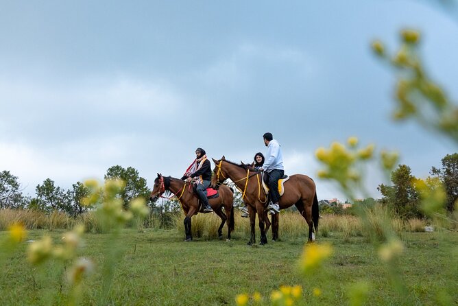 Horse Riding Experience in Riyadh | Tanomah | Jeddah | Al Ula - What the private format means for you