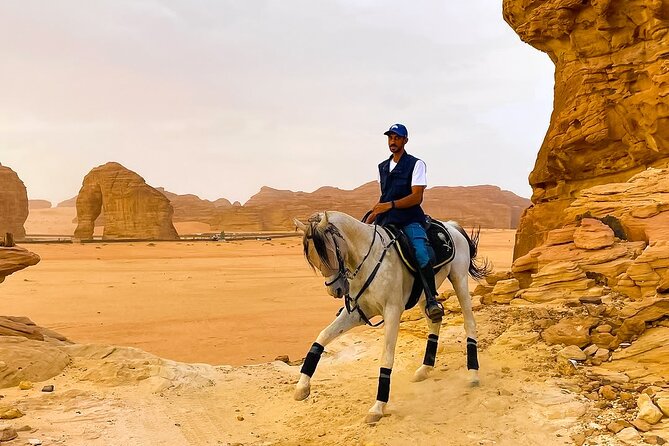 Horse Riding Experience in Riyadh | Tanomah | Jeddah | Al Ula - Timing, price, and what to bring
