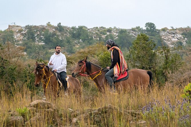 Horse Riding Experience in Riyadh | Tanomah | Jeddah | Al Ula - Riyadh: red sand and open desert