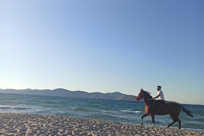 Horse Riding Experience on the Beach with Instructor - Key points to know before booking