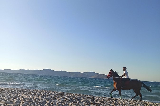 Horse Riding Experience on the Beach with Instructor - Reaching the sandy beach