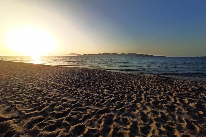 Horse Riding Experience on the Beach with Instructor - Well-cared-for horses and a family-run feel