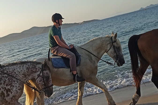 Horse Riding Experience on the Beach with Instructor - Is $84.29 good value?