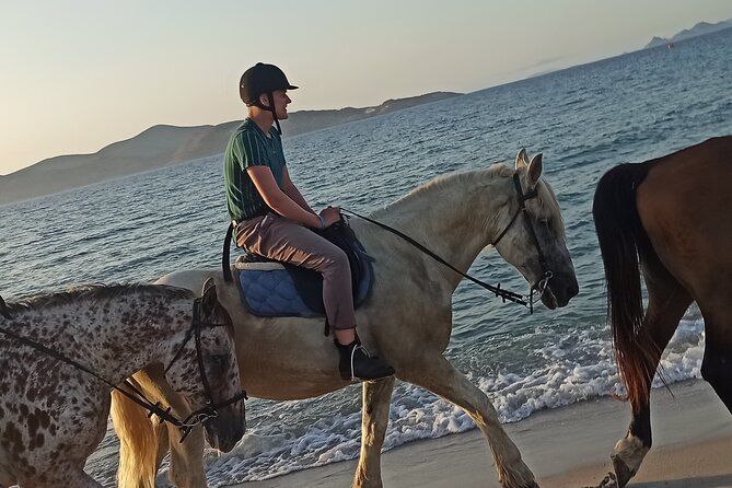 Horse Riding Experience on the Beach with Instructor - Who will enjoy this Kos horse ride?