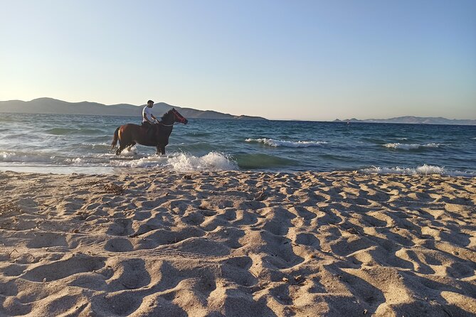 Horse Riding Experience on the Beach with Instructor - Starting with the horses and the safety briefing