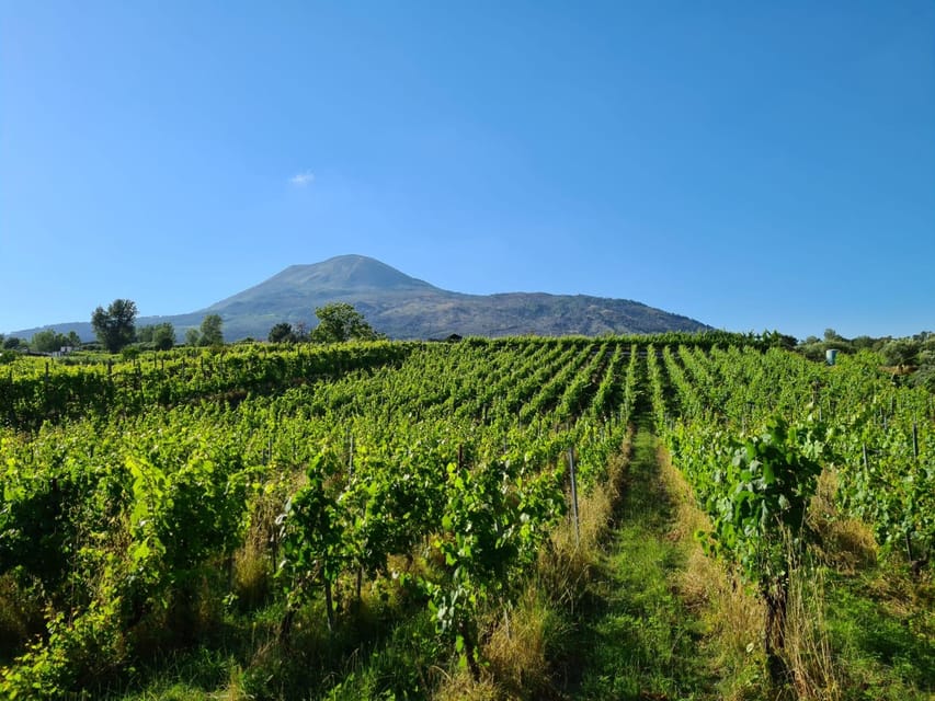 Horse Riding Experience on Vesuvius w/ Wine Tasting - Meeting the horses and setting out