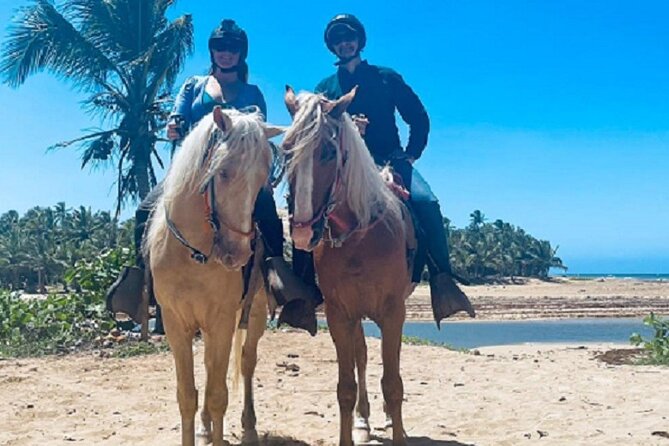 Horse Riding Experience through El Limon Beach - Cattle farms and subtropical wetlands along the way