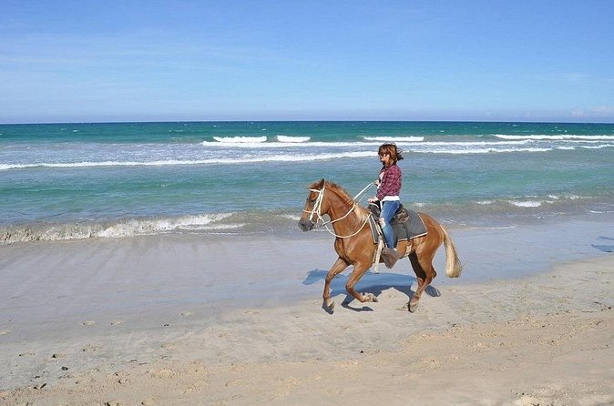 Horse Riding Experience through El Limon Beach - A good setup for first-time and experienced riders