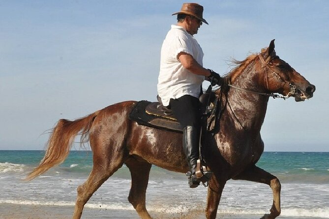 Horse Riding Experience through El Limon Beach - Who will get the most from this ride