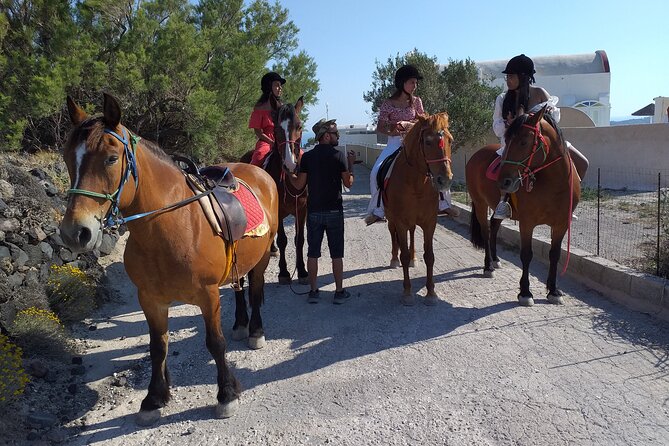 Horse Riding: Explore Secret Thera - What the horses and guides are like