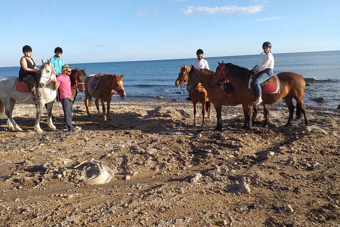 Horse Riding: Explore Secret Thera - Is one hour enough for the price?