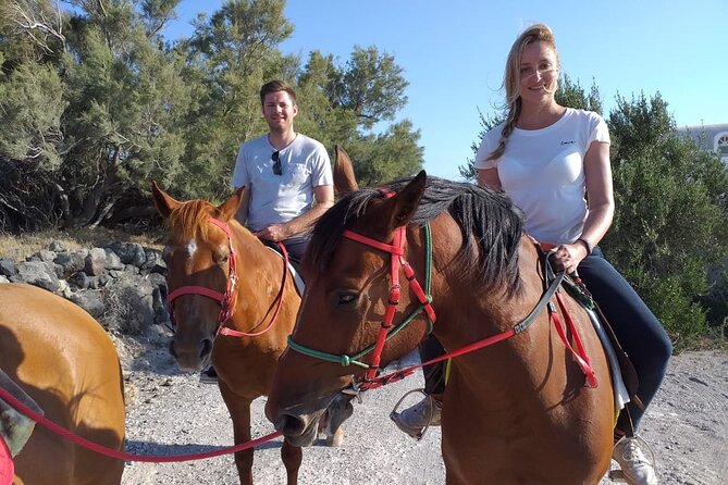Horse Riding: Explore Secret Thera - Megalochori by horse, not by tour bus