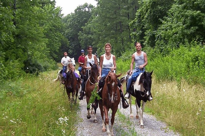 Horse Riding From Kusadasi Port / Hotels - Reaching Pamucak Beach