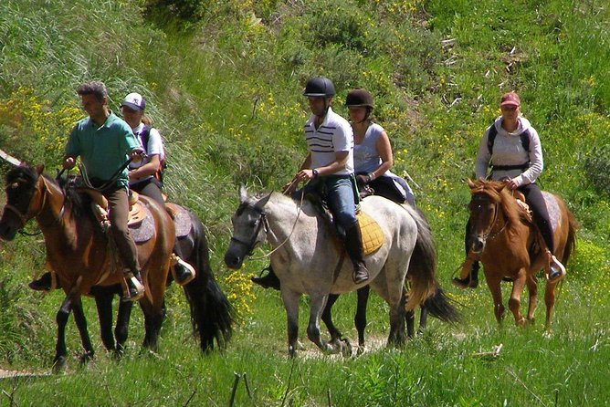 Horse Riding From Kusadasi Port / Hotels - Through bushes and trees toward the coast