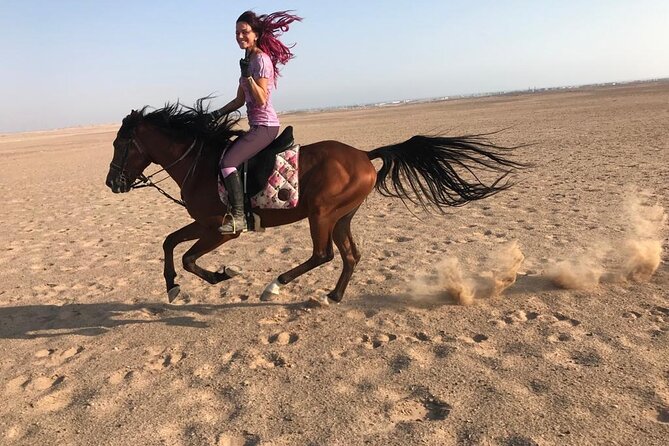 Horse Riding in Amazing Dessert With Transfer - Marsa Alam - A slow way to see the Marsa Alam desert