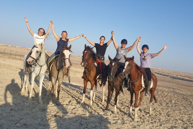 Horse Riding in Amazing Dessert With Transfer - Marsa Alam - What happens before you mount the horse
