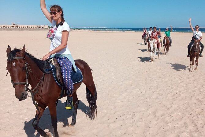Horse Riding in Amazing Dessert With Transfer - Marsa Alam - Egyptian horses, polo horses, and stable standards