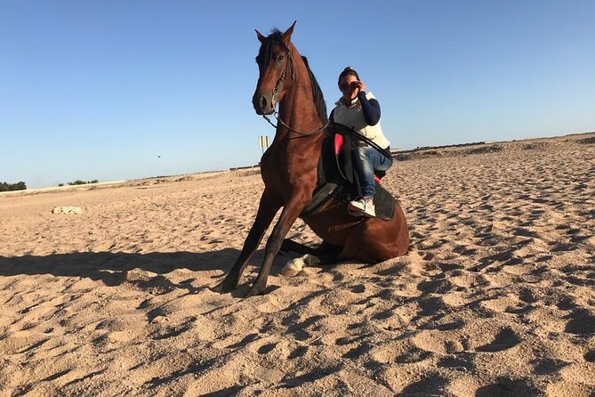 Horse Riding in Amazing Dessert With Transfer - Marsa Alam - Family considerations and safety equipment