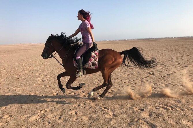 Horse Riding in Amazing Dessert With Transfer - Marsa Alam - Pickup from your hotel and the ride to the stable