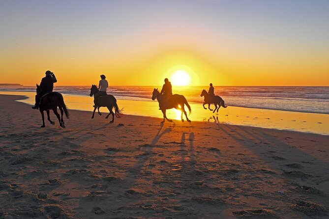 Horse Riding in Antalya,Belek,Lara Beach(Sunrise,Sunset,Day Time) - Transfers, Timing, and the Small Group Size