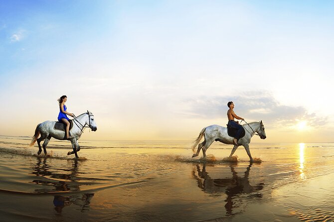 Horse Riding in Antalya,Belek,Lara Beach(Sunrise,Sunset,Day Time) - Who Will Get the Most From This Ride